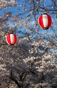 hanami